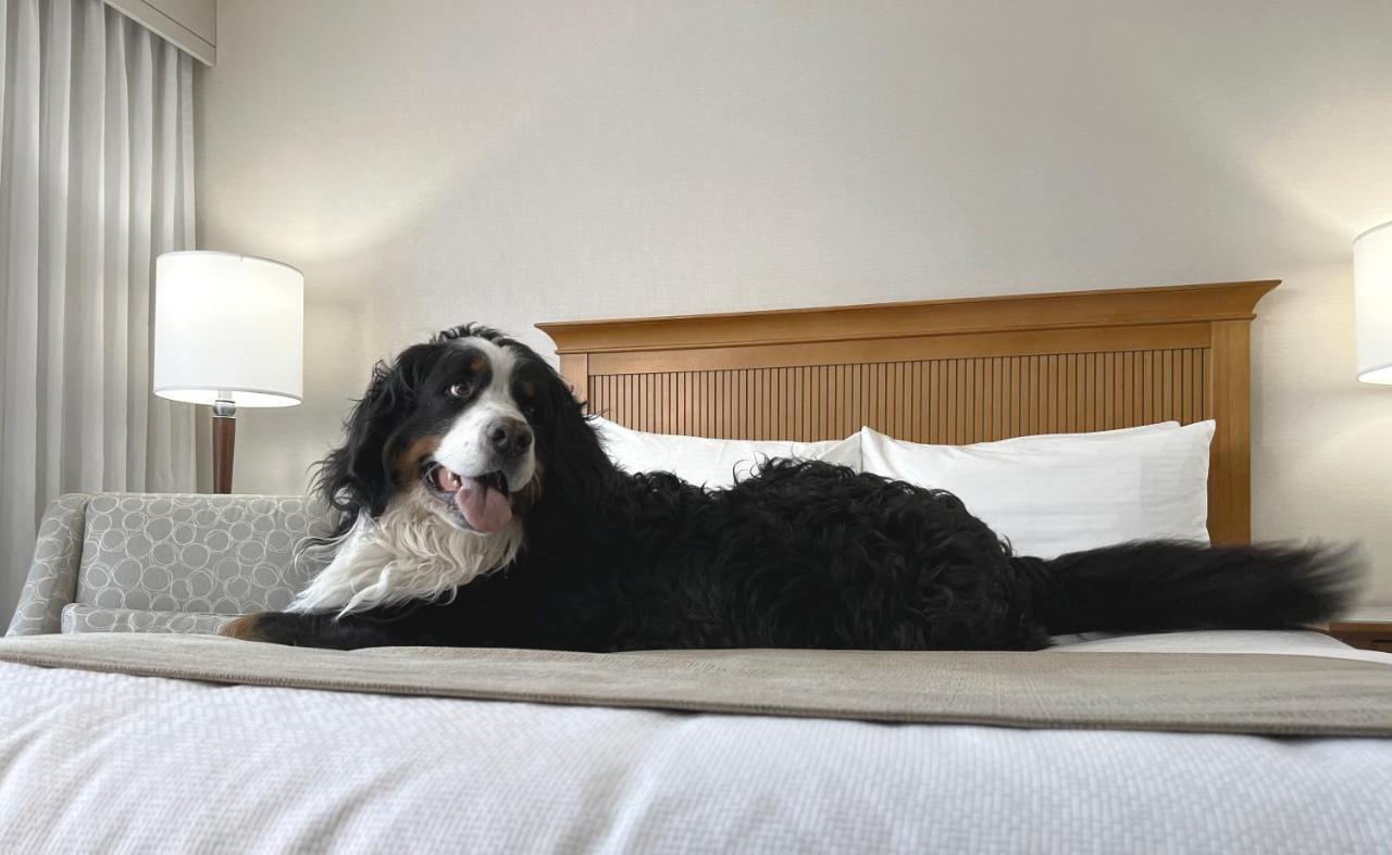 Coast Capri Hotel Kelowna Zewnętrze zdjęcie
